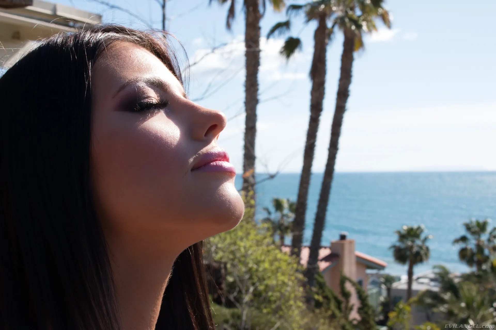 Evil Angel 'Anal Savant' starring Adriana Chechik (Photo 16)