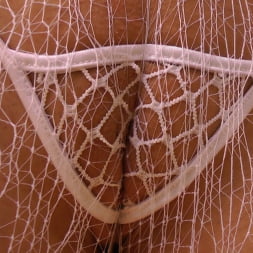 AJ Applegate en 'Evil Angel' Buttman se centró en 8 (Miniatura 4)
