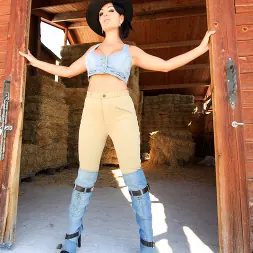 Amanda X in Stable Whores (Photo 6) Amanda X in 'Evil Angel' Stable Whores (Thumbnail 6)