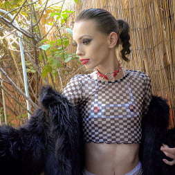 Aria Haze en 'Evil Angel' Hookup hotshot: putas de vanguardia (Miniatura 2)