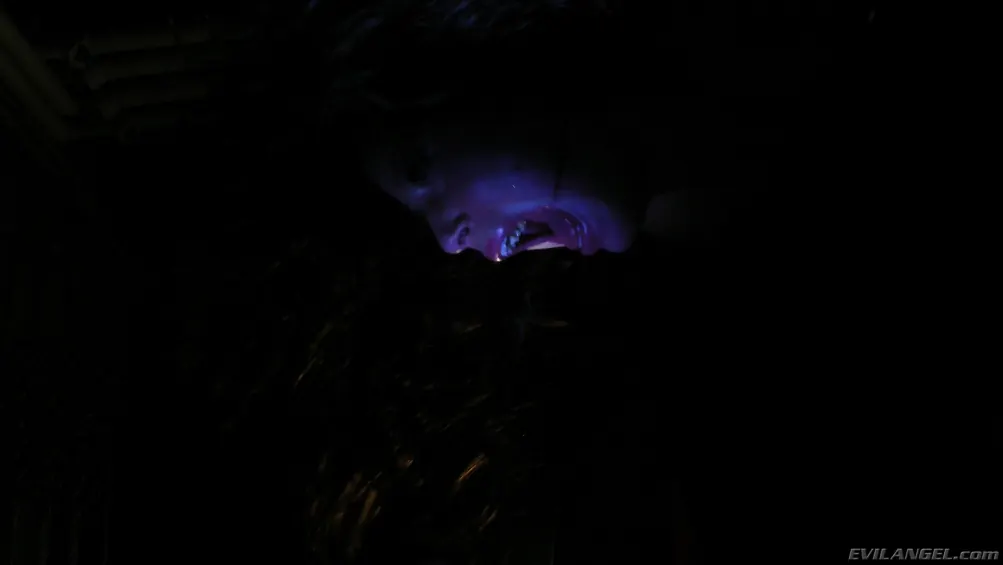Evil Angel 'Voracious - Season 01 Episode 10' starring Brooklyn Lee (Photo 12)
