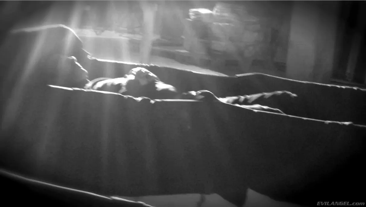 Evil Angel 'Voracious - Season 01 Episode 5' starring Brooklyn Lee (Photo 4)