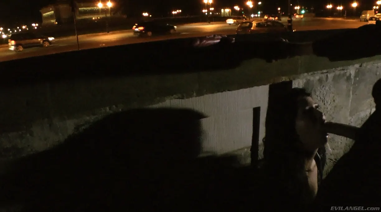 Evil Angel 'Voracious - Season 01 Episode 6' starring Brooklyn Lee (Photo 13)