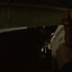 Brooklyn Lee en 'Evil Angel' Voraz - temporada 01 episodio 6 (Miniatura 8)