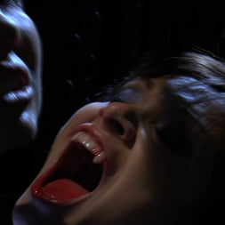Chastity Lynn en 'Evil Angel' Voraz - Temporada 2 Episodio 11 (Miniatura 1)