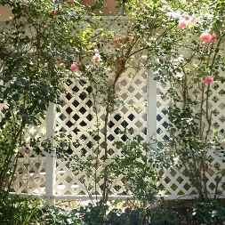 Dana Vespoli in 'Evil Angel' My Evil Stepmom Fucked My Ass 3 (Thumbnail 180)