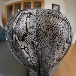 Erica Fontes en Cargas de spandex 4 (foto 30) Erica Fontes en 'Evil Angel' Cargas de spandex 4 (Miniatura 30)