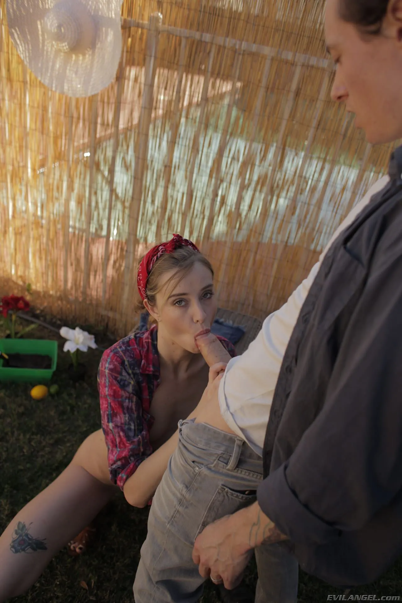 Evil Angel 'Pequeños chorros' protagonizando Haley Reed (foto 209)