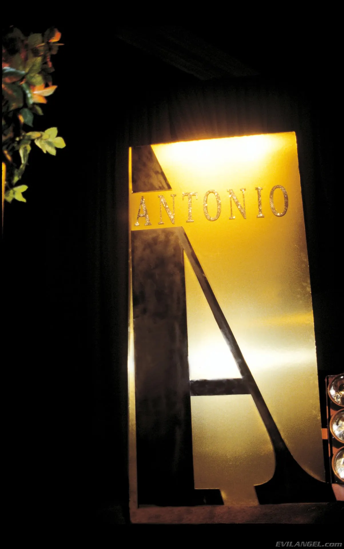 Kate Frost en 'Amantes de la moda' from 'Evil Angel' (foto 1) Evil Angel 'Amantes de la moda' protagonizando Kate Frost (foto 1)