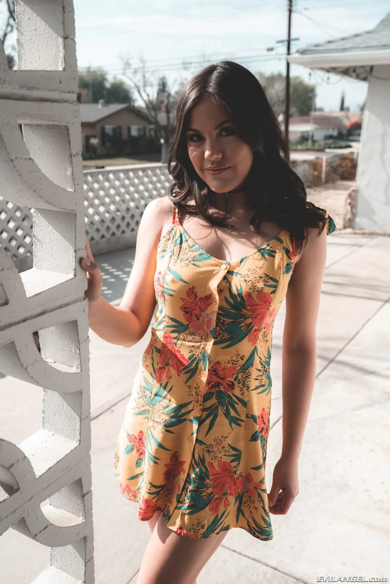 Evil Angel 'Putas por el culo 7' protagonizando Kendra Spade (foto 1)