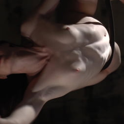 Lea Lexis en 'Evil Angel' Voraz - temporada 2 episodio 3 (Miniatura 2)