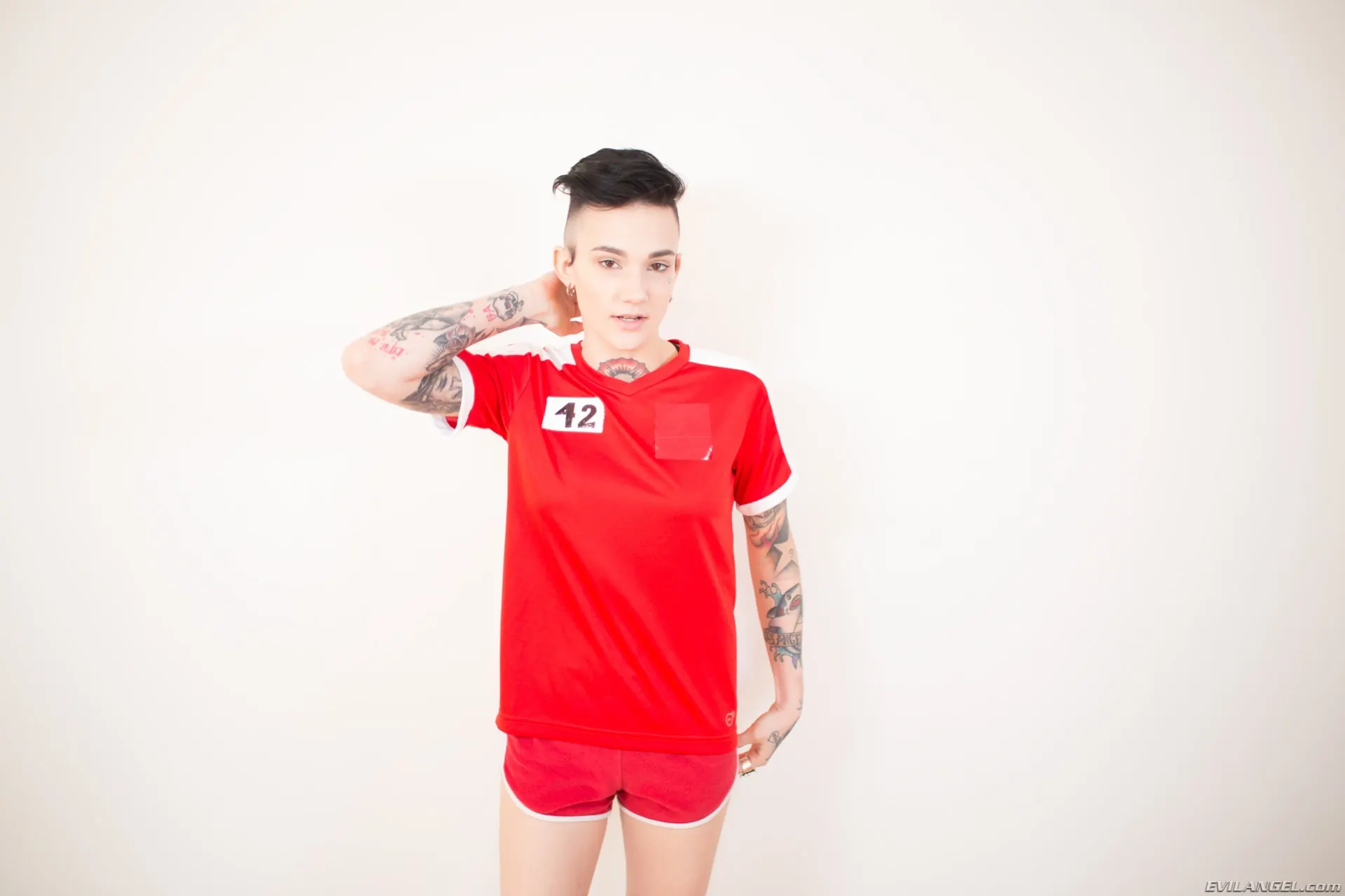 Evil Angel 'Pruebas de gangbang interracial volumen 1' protagonizando Nikki Hearts (foto 1)