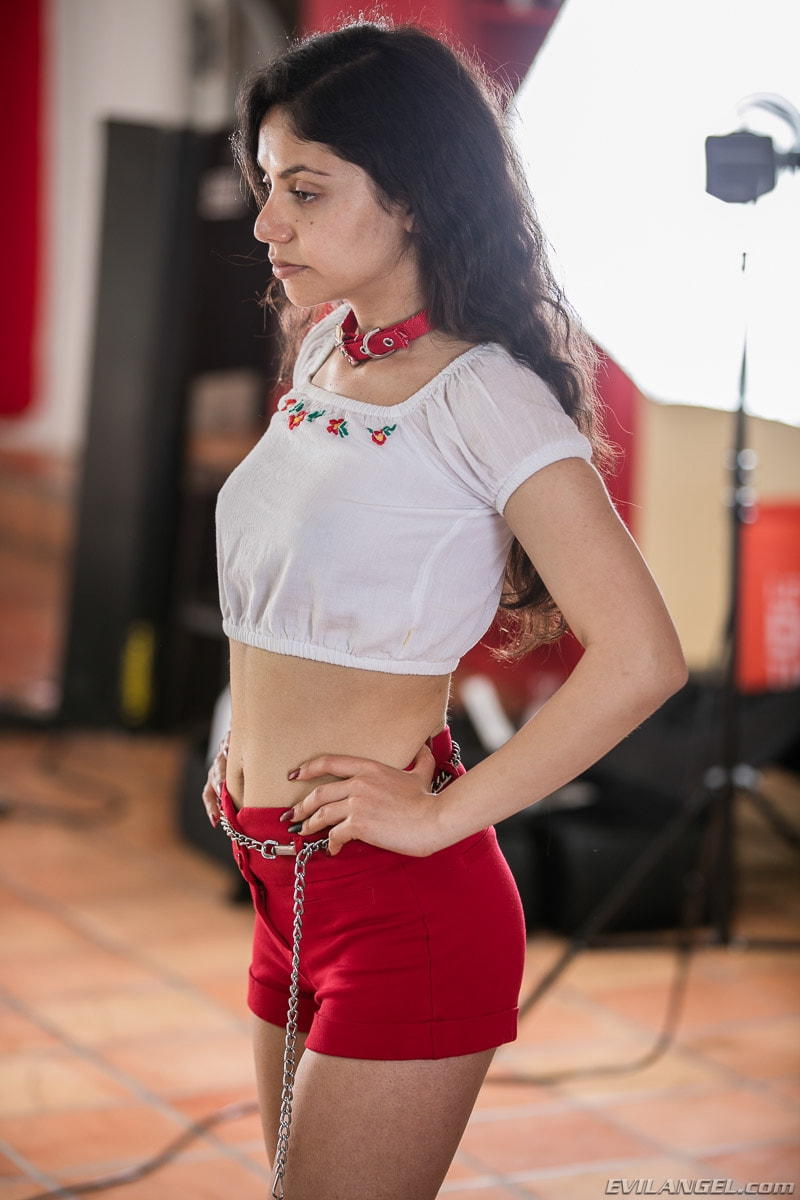 Rose Darling en 'Evil Angel' Hotshot de conexión: navegando por Internet (Miniatura 285)