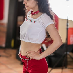 Rose Darling en 'Evil Angel' Hotshot de conexión: navegando por Internet (Miniatura 285)