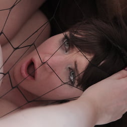 Samantha Bentley en 'Evil Angel' Misha en el exilio (Miniatura 41)