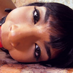 Shazia Sahari en 'Evil Angel' Puta y más puta 15 (Miniatura 1)
