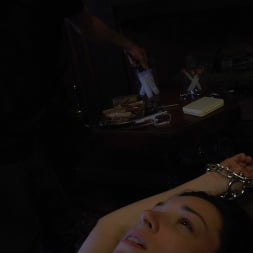 Stoya en 'Evil Angel' Voraz - Temporada 2 Episodio 15 (Miniatura 6)